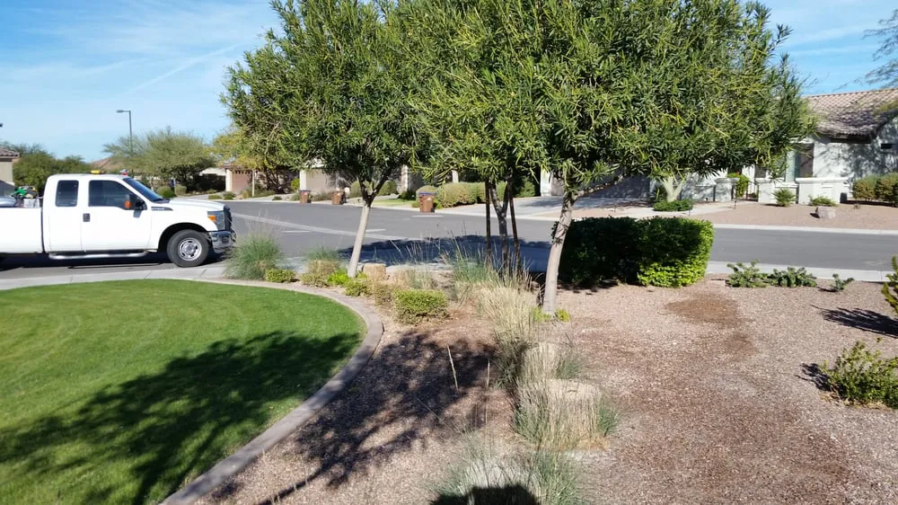 Top-rated yard maintenance with custom design in Chandler, AZ by Crown Point Property Service