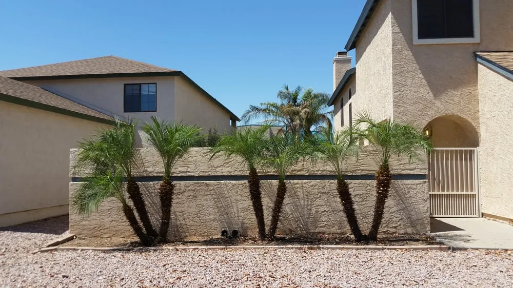 Reliable landscape design for residential properties in Chandler, AZ by Crown Point Property Service