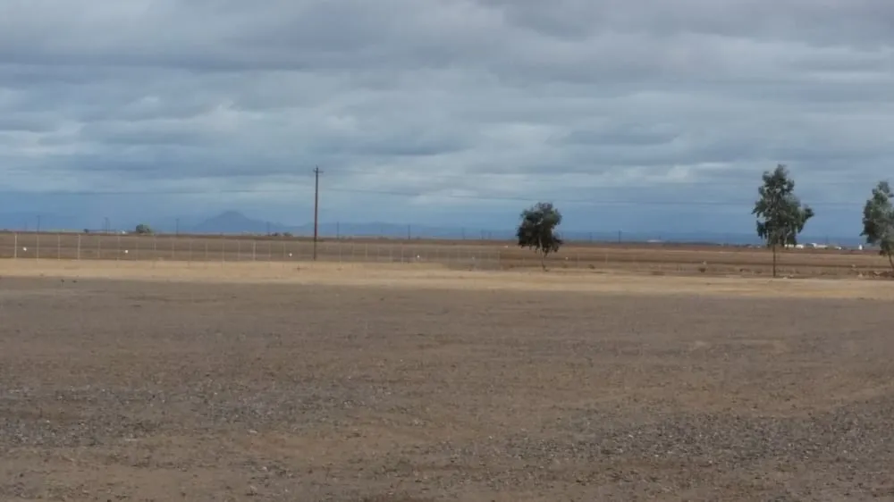 Trusted garden landscaping in Chandler, AZ by Crown Point Property Service