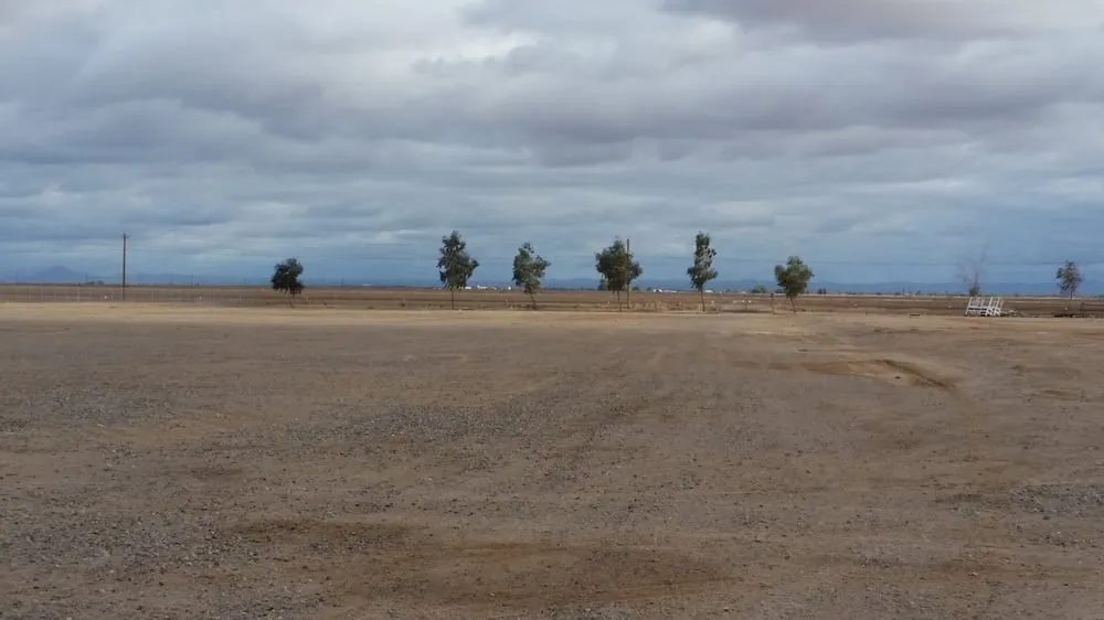 Top-rated landscape installation for year-round maintenance across Chandler, AZ - Crown Point Property Service