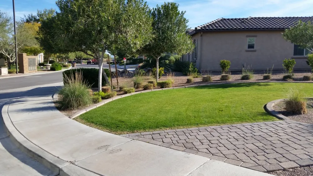 Reliable lawn care service for year-round maintenance in Chandler, AZ by Crown Point Property Service