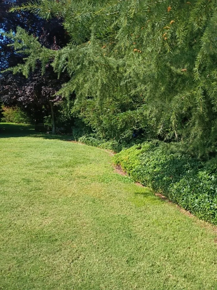 Trusted residential landscaping in Sacramento, CA by Crown Royal Landscaping