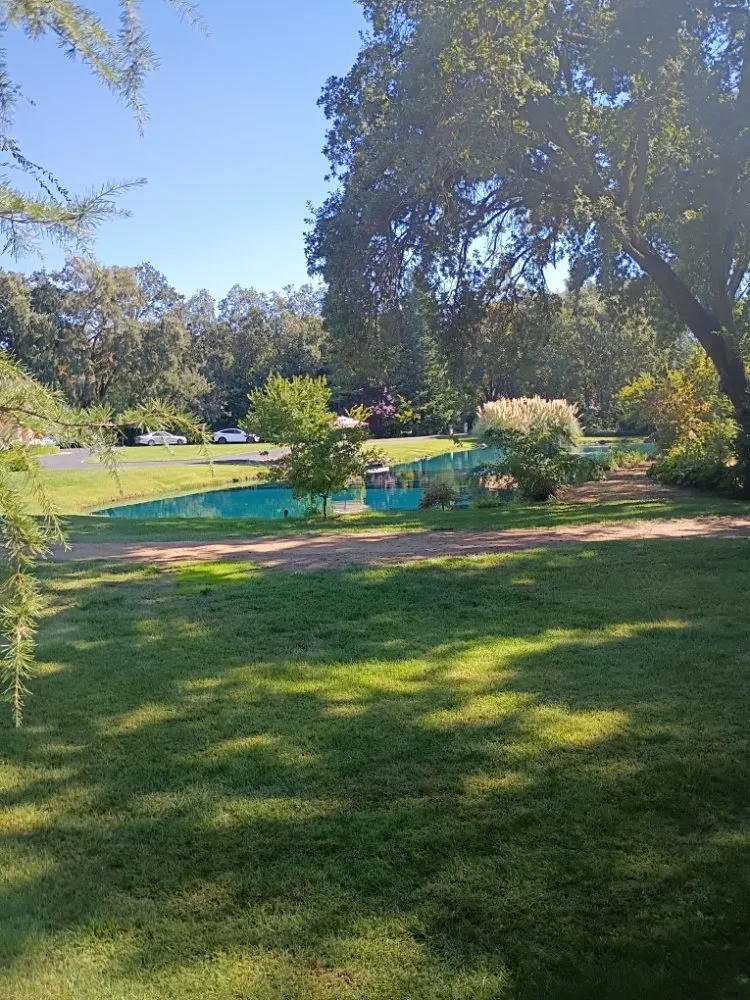 Local lawn mowing service for year-round maintenance across Sacramento, CA - Crown Royal Landscaping