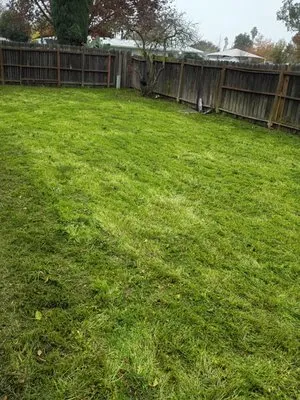 Crown Royal Landscaping Logo