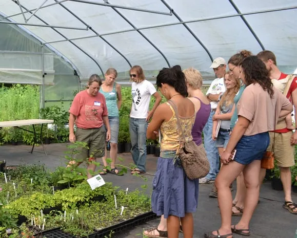 Reliable landscape installation for outdoor upgrades in Pasadena, CA by Crown Valley Nursery
