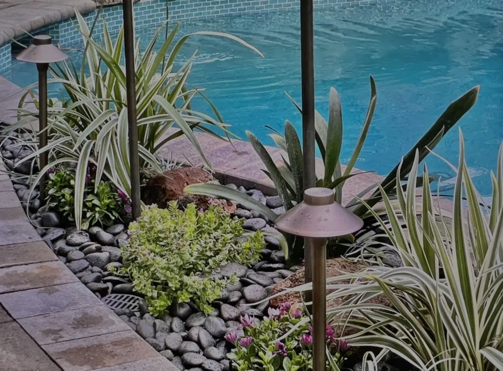Reliable yard maintenance experts serving Brentwood, CA - Crowne Landscape