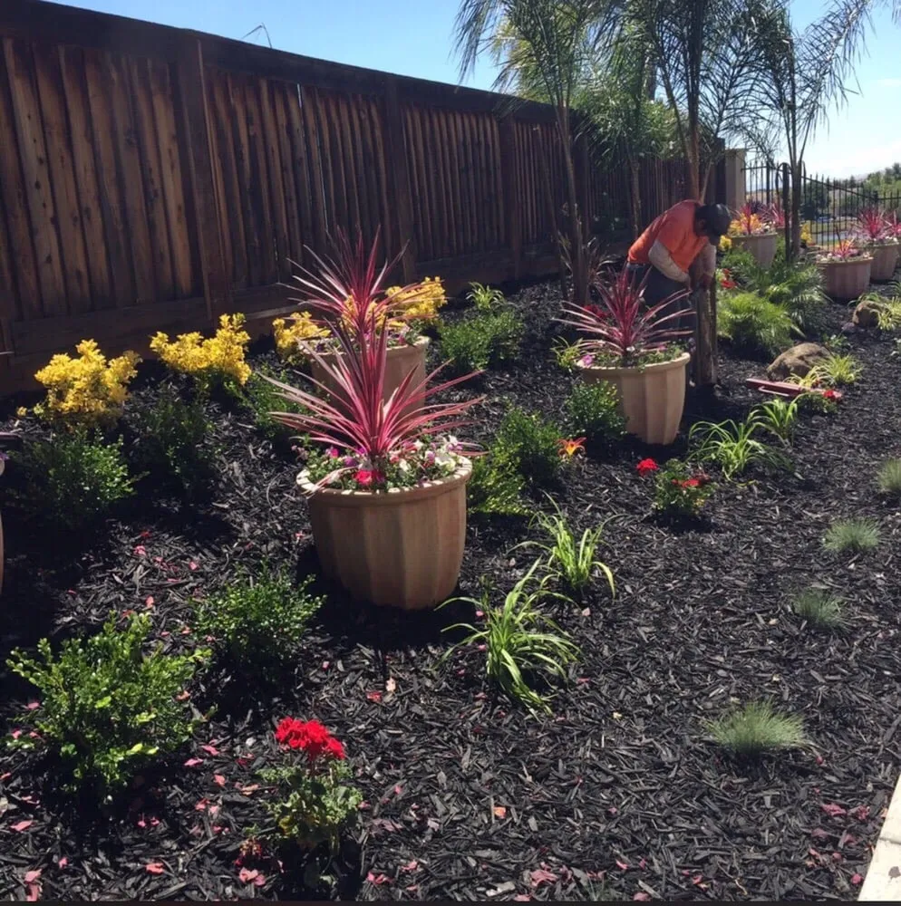 Affordable landscaping services for homes across Brentwood, CA - Crowne Landscape