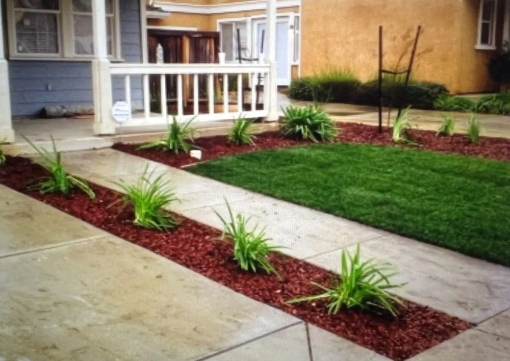 Expert landscape design experts serving Brentwood, CA - Crowne Landscape