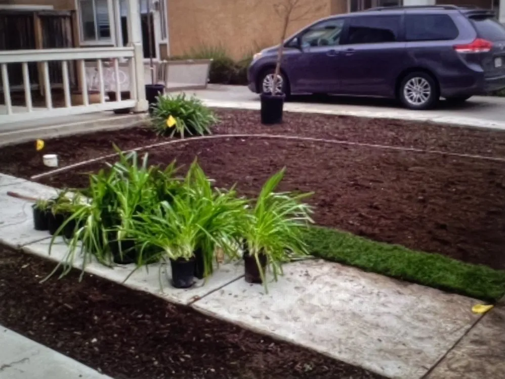 Expert lawn mowing service for beautiful yards across Brentwood, CA - Crowne Landscape