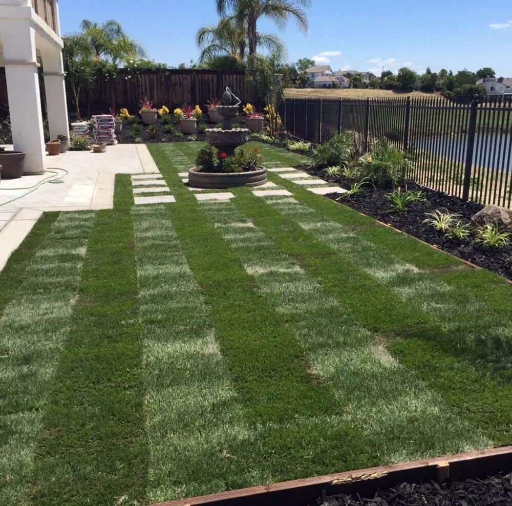 Trusted garden landscaping near you across Brentwood, CA - Crowne Landscape