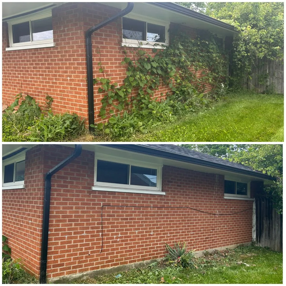 Custom yard maintenance for year-round maintenance across Dayton, OH - Crowned Landscaping