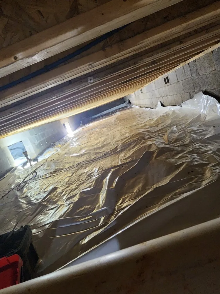 Trusted yard cleanup service in Jasper, TN - Crownover Construction