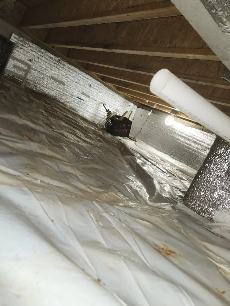 Custom garden landscaping for year-round maintenance in Jasper, TN by Crownover Construction