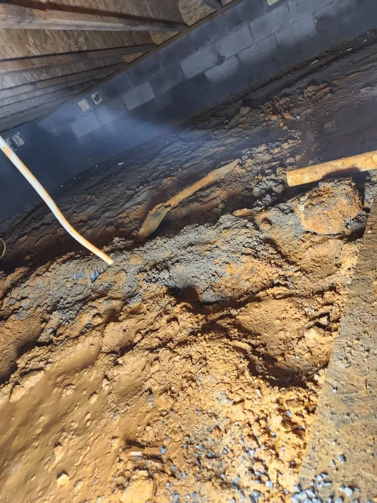 Expert yard cleanup service in Jasper, TN - Crownover Construction