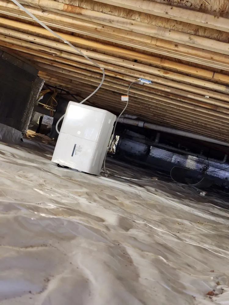 Reliable lawn mowing service near you in Jasper, TN by Crownover Construction