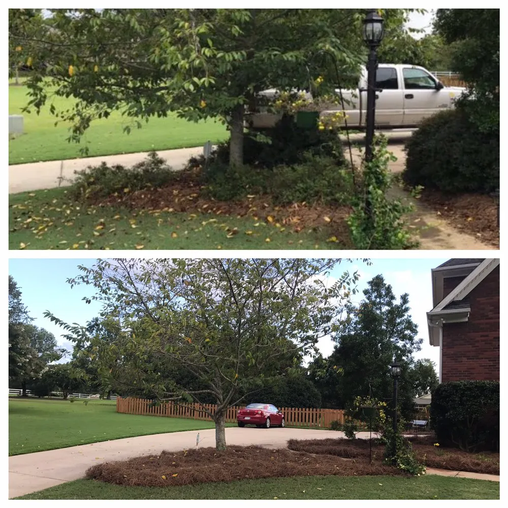 Affordable lawn care service for year-round maintenance across Boiling Springs, SC - Crow's Landscaping