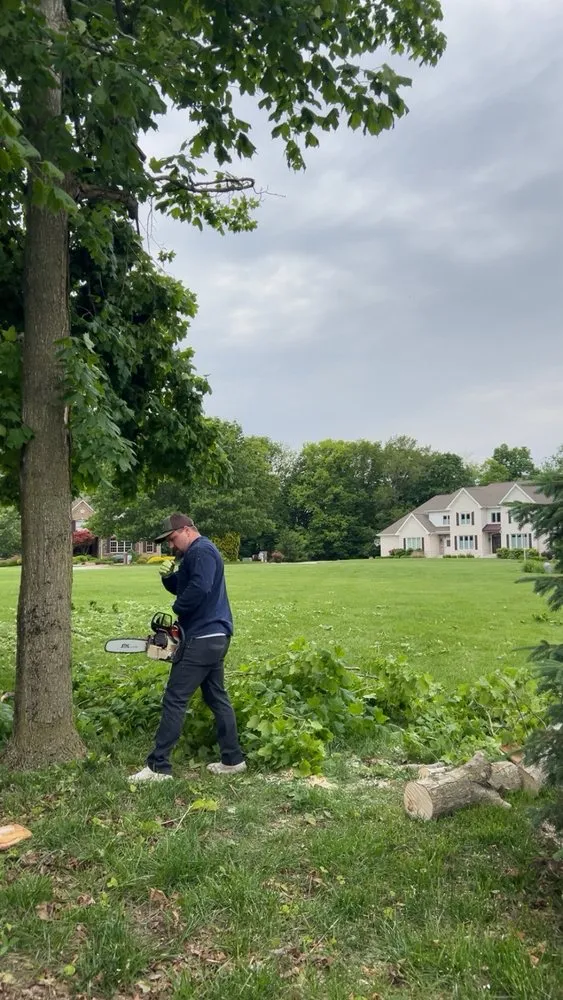 Professional yard cleanup service in Kokomo, IN by Crows Tree & Lawn Services