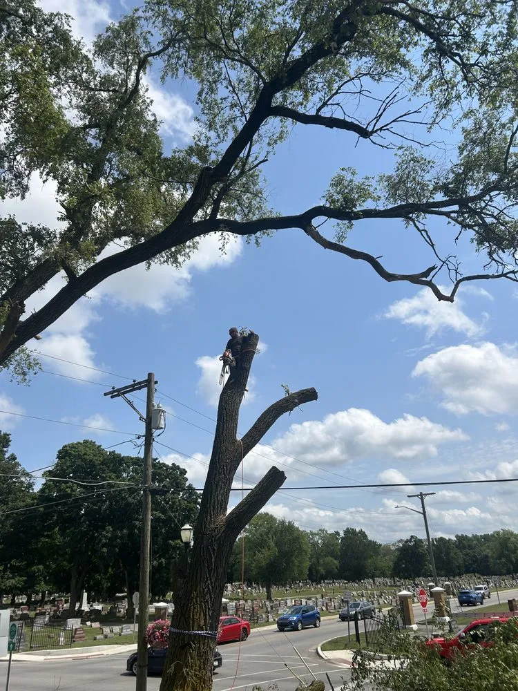 Affordable landscape installation for year-round maintenance across Kokomo, IN - Crows Tree & Lawn Services