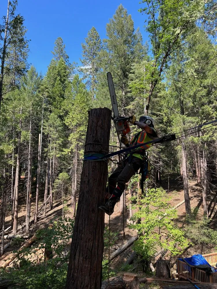 Top-rated landscaping services in Truckee, CA - CRP Home