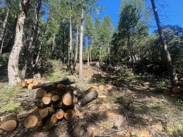 Top-rated landscape installation for year-round maintenance in Truckee, CA by CRP Home