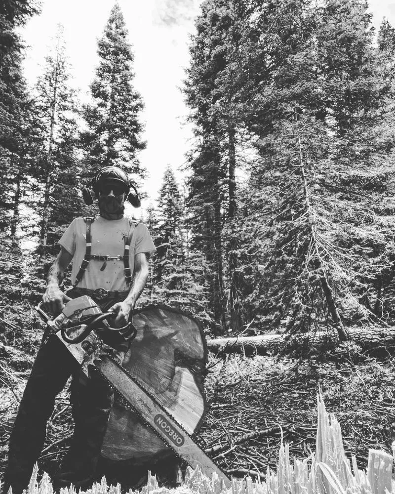 Trusted lawn mowing service for outdoor upgrades across Truckee, CA - CRP Home