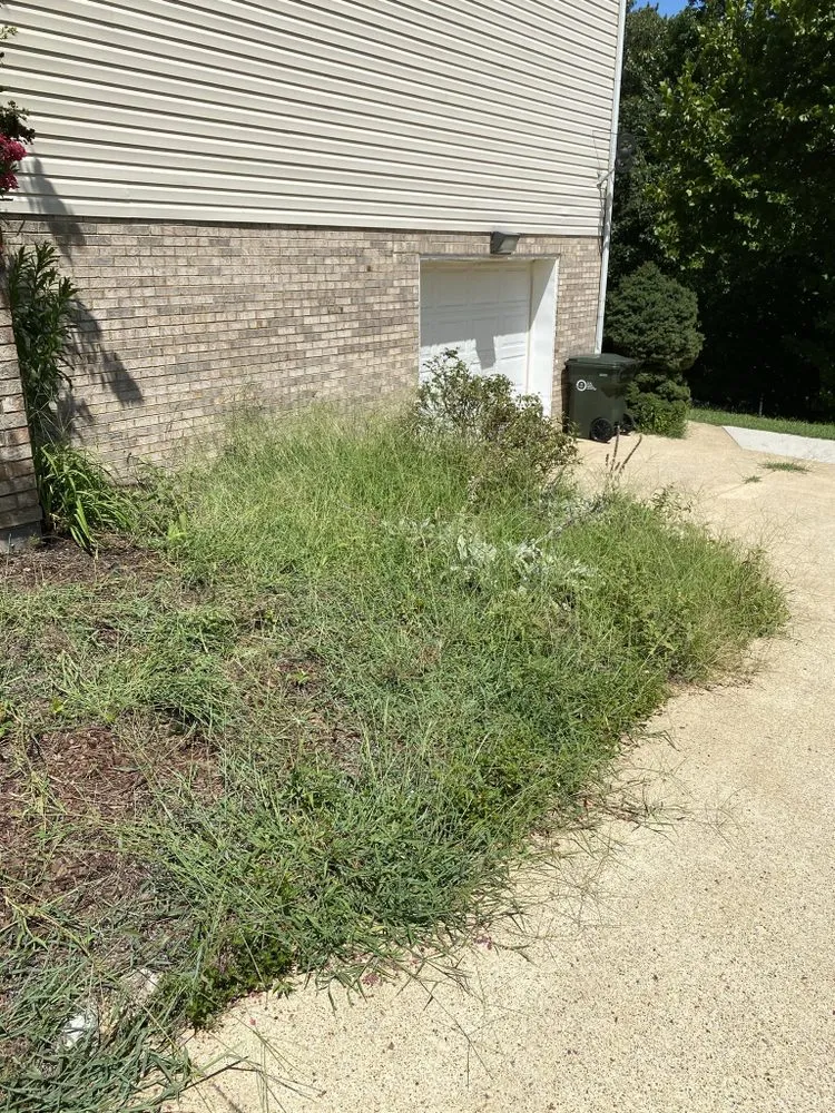 Custom yard cleanup service for homes in Ooltewah, TN by CRR Landscape & Dumpsters