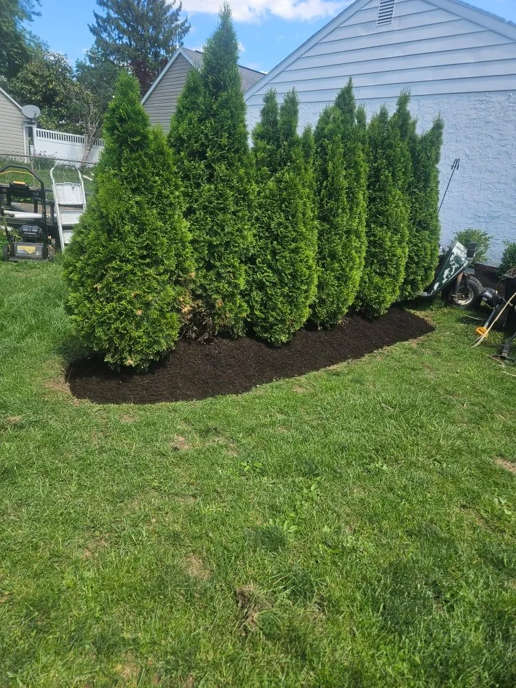 Reliable yard maintenance near you in Coatesville, PA by CRR Lawn Service