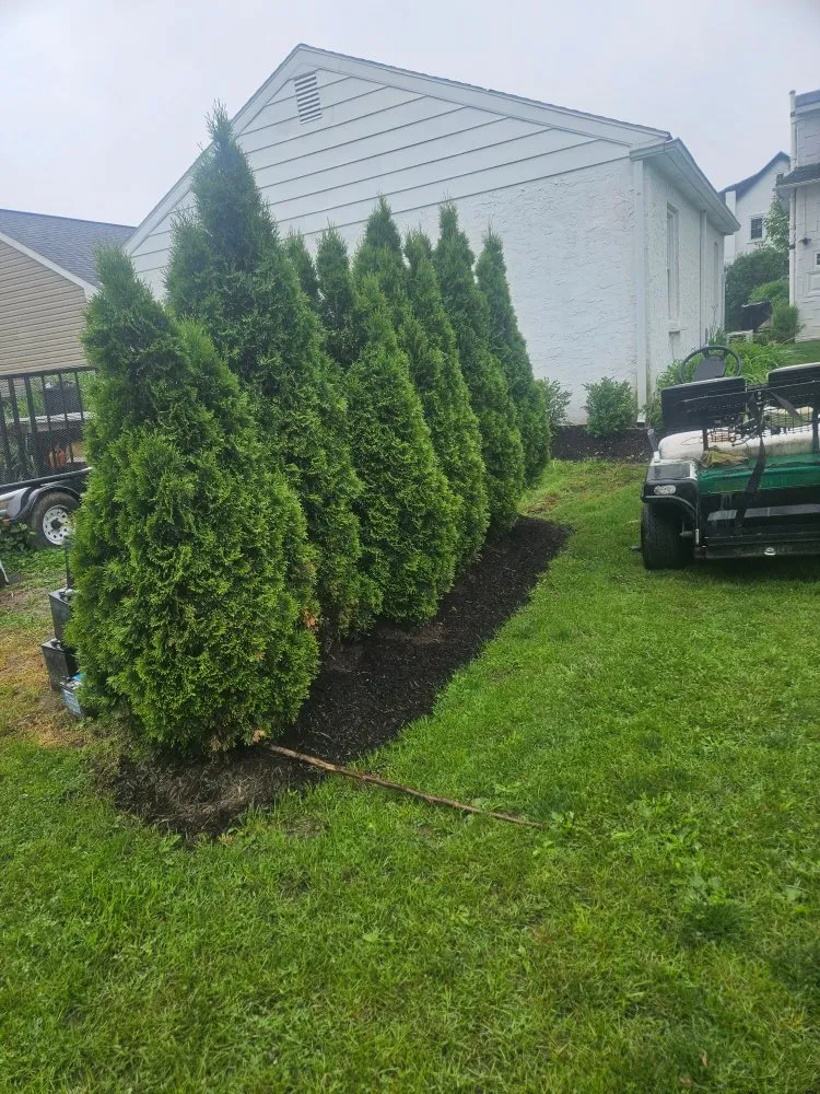 Custom lawn mowing service for year-round maintenance in Coatesville, PA by CRR Lawn Service