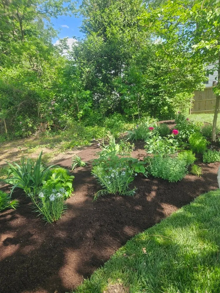 Affordable residential landscaping for outdoor upgrades in Coatesville, PA by CRR Lawn Service