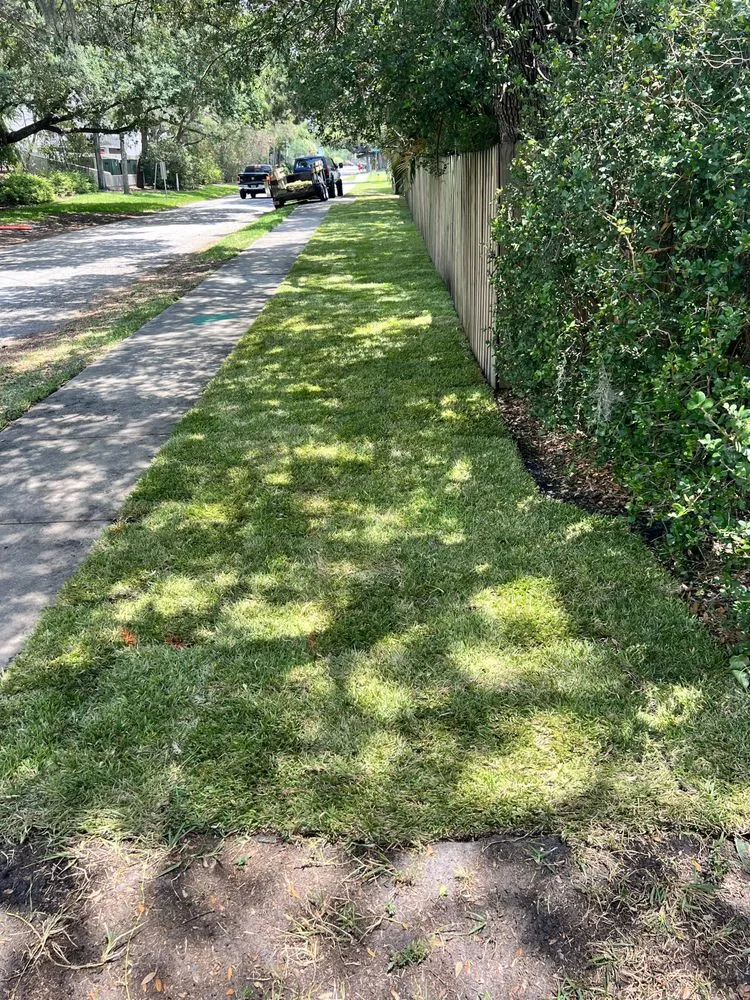 Professional lawn mowing service with custom design in Lutz, FL by CRR Maintenance Services