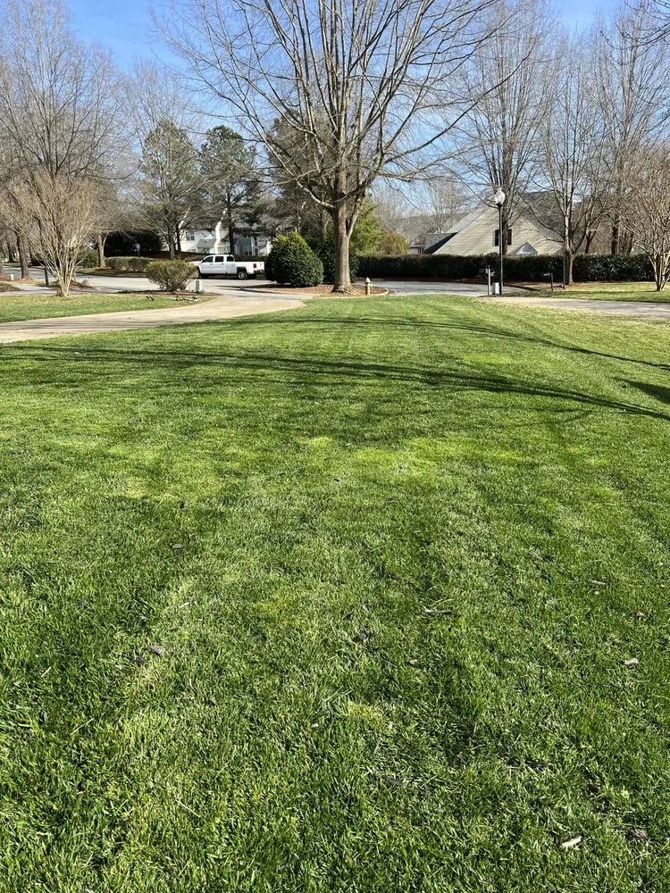 Professional outdoor landscaping experts serving Greensboro, NC - CRT Terrain Company