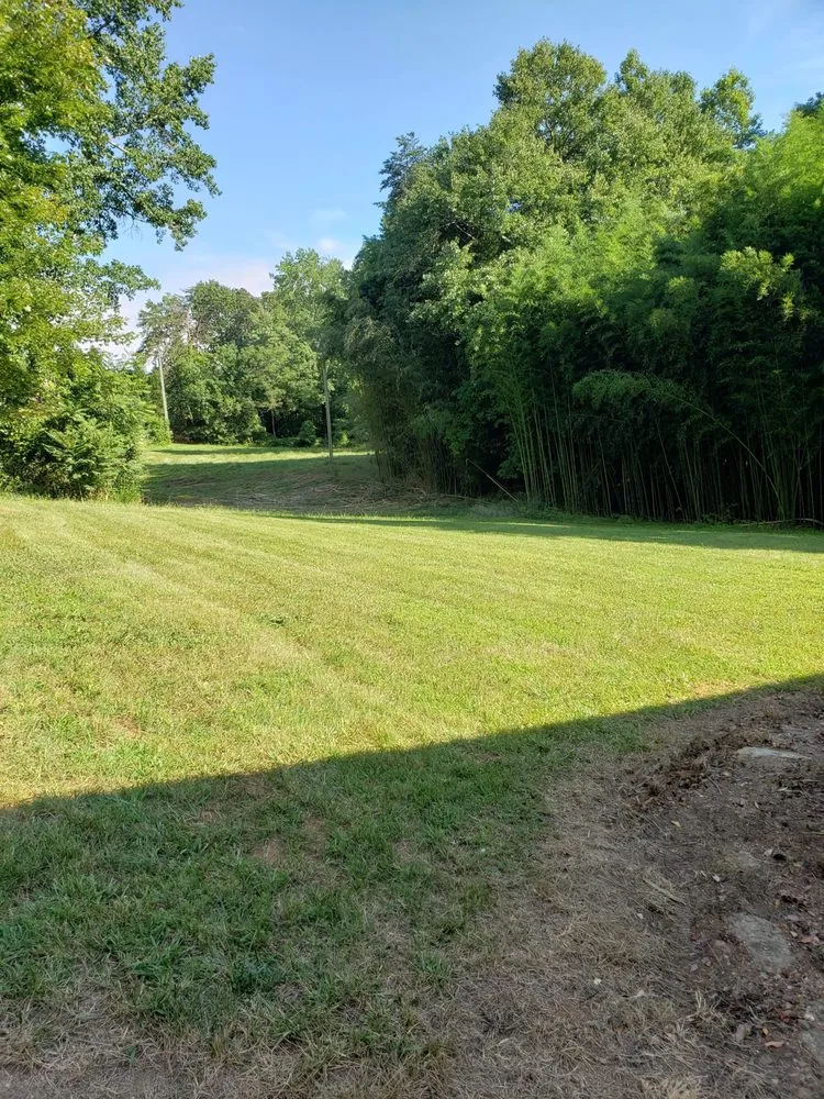 Expert residential landscaping in Greensboro, NC by CRT Terrain Company