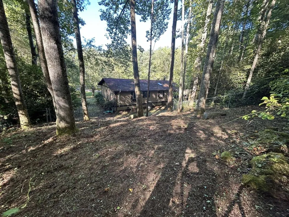 Custom yard cleanup service for year-round maintenance in Hendersonville, NC by Crud Cleaners