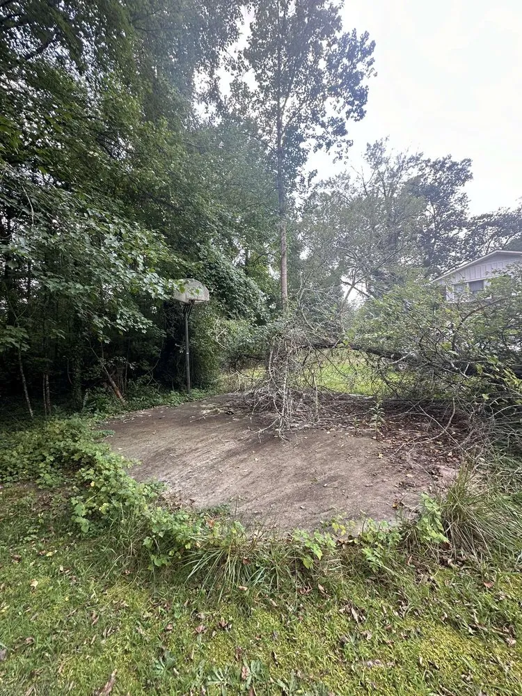 Professional outdoor landscaping for beautiful yards in Hendersonville, NC by Crud Cleaners