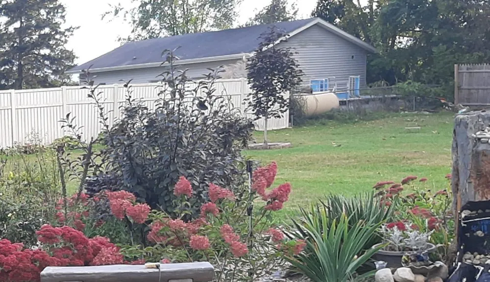 Reliable lawn care service for year-round maintenance in Three Rivers, MI by Crue Home, Lawn and Design