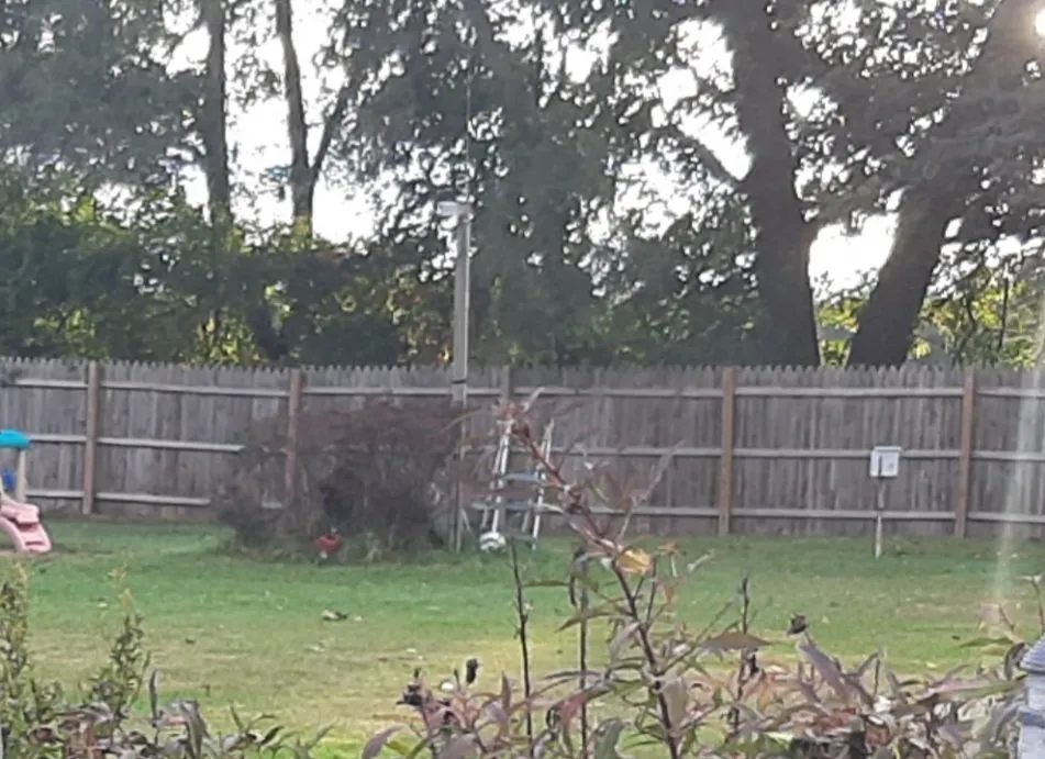 Professional yard cleanup service near you in Three Rivers, MI by Crue Home, Lawn and Design