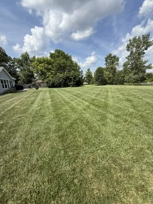 Cruea Lawn & Landscape Logo