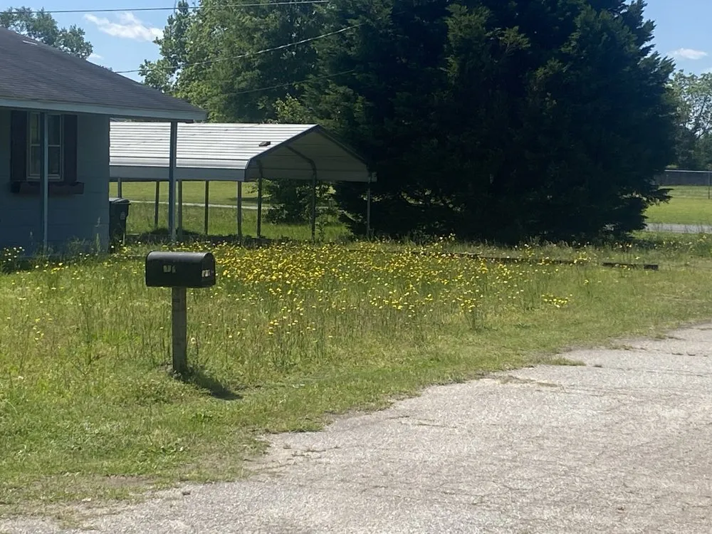 Custom landscape installation for outdoor upgrades in Fayetteville, NC by Crump & Sons