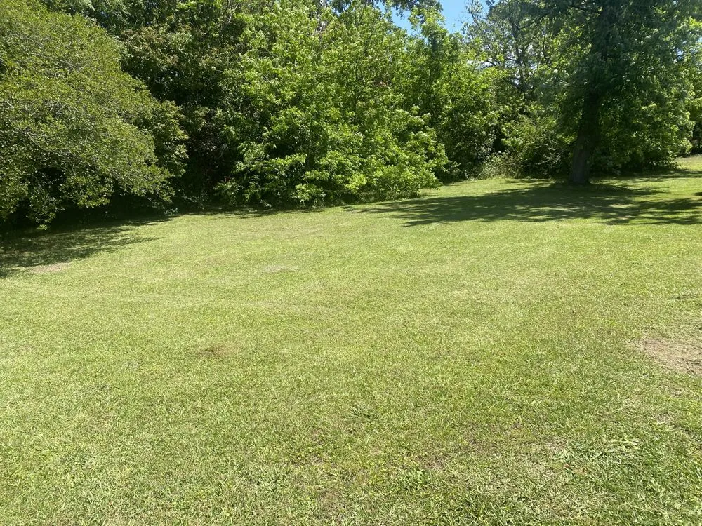 Custom landscaping services in Fayetteville, NC - Crump & Sons