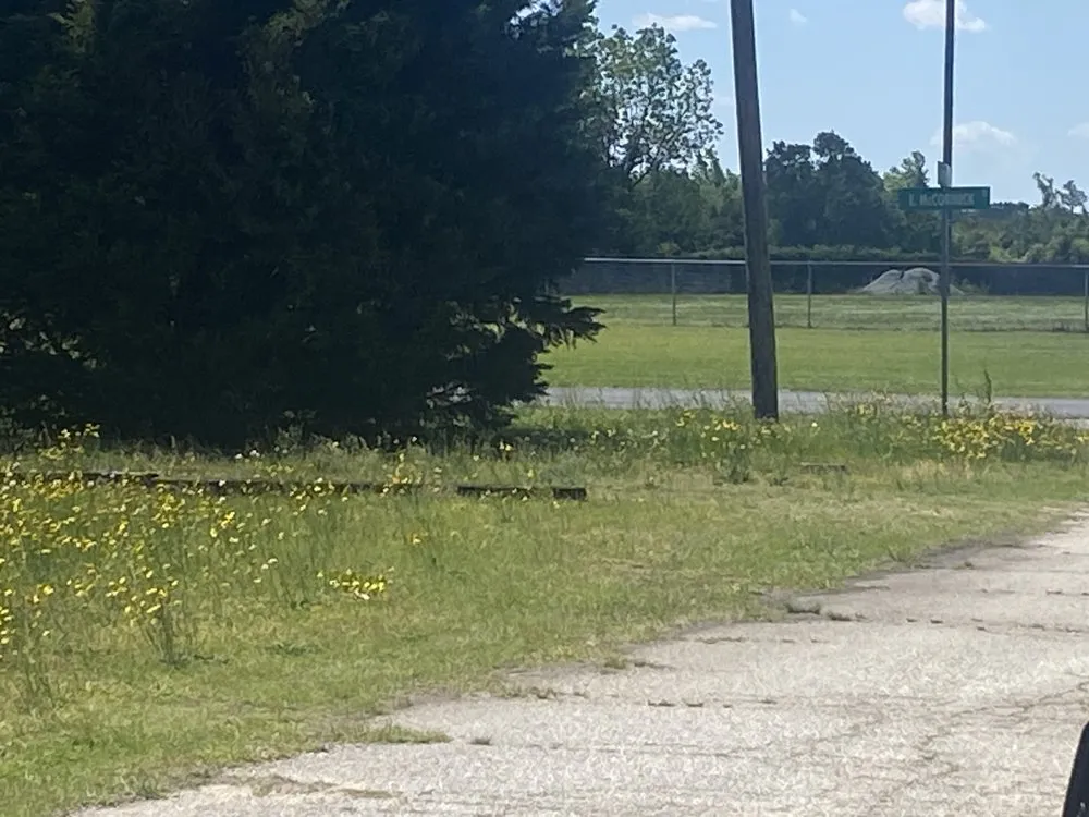 Professional outdoor landscaping in Fayetteville, NC by Crump & Sons