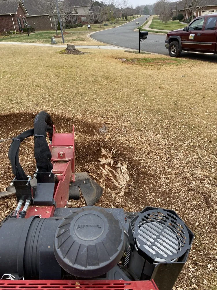 Expert residential landscaping for homes across Rock Hill, SC - Crump Stump Services