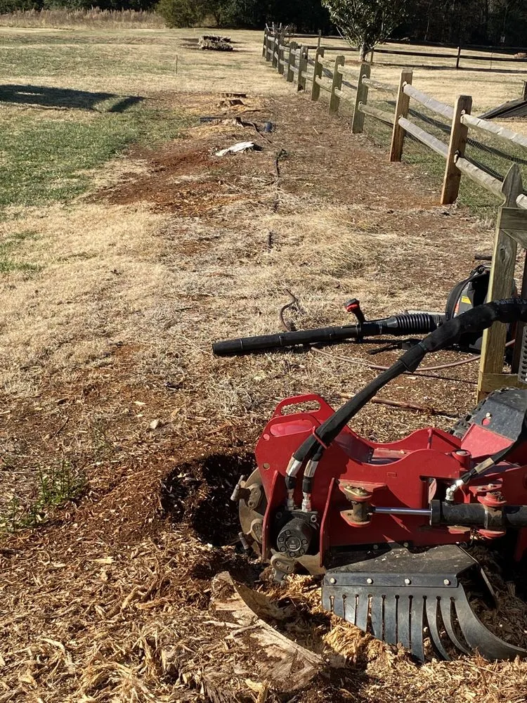 Affordable landscaping services in Rock Hill, SC - Crump Stump Services