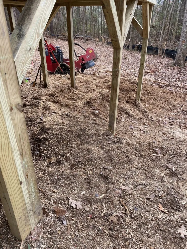 Reliable lawn care service for beautiful yards across Rock Hill, SC - Crump Stump Services