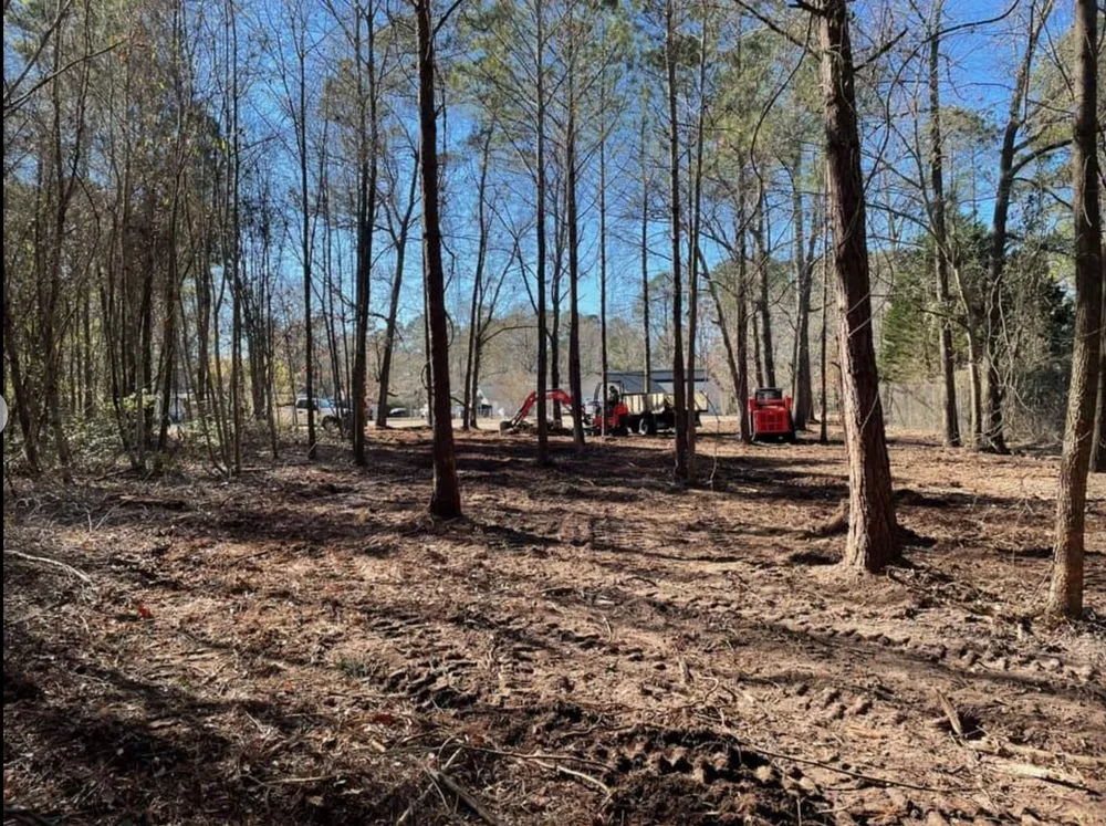 Trusted yard cleanup service in La Grange, NC - Crumpler's Lawncare & Landscaping