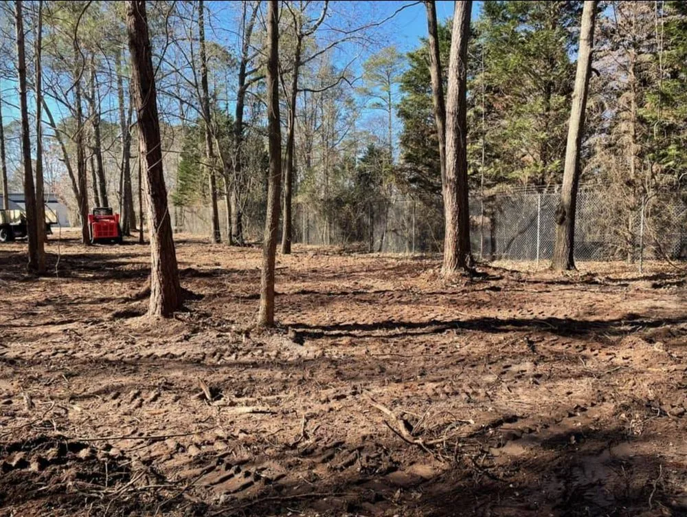 Reliable yard cleanup service for year-round maintenance across La Grange, NC - Crumpler's Lawncare & Landscaping