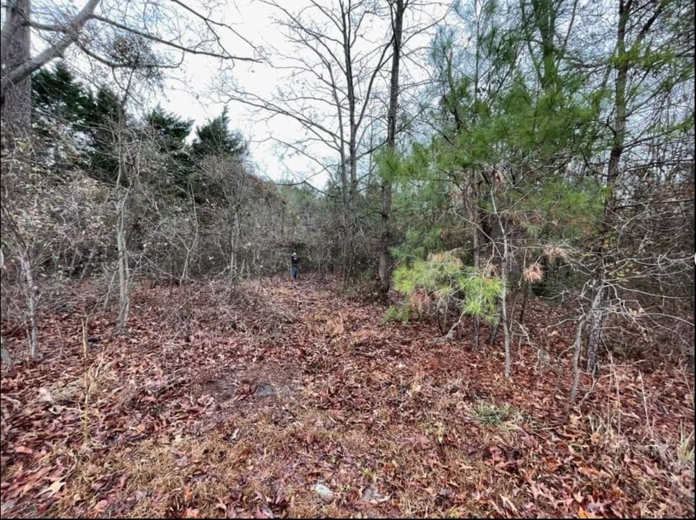 Affordable yard cleanup service in La Grange, NC - Crumpler's Lawncare & Landscaping