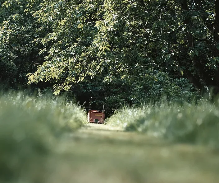 Expert lawn mowing service in Hamburg, NY - Crump's Master Mowing