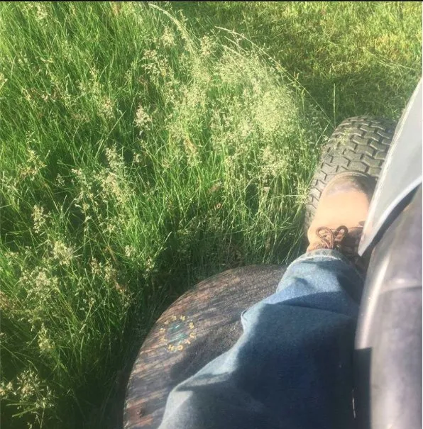 Local residential landscaping experts serving Hamburg, NY - Crump's Master Mowing