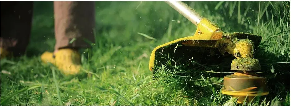 Professional residential landscaping experts serving Hamburg, NY - Crump's Master Mowing