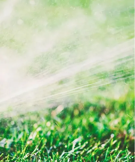 Professional landscape design for year-round maintenance in Hamburg, NY by Crump's Master Mowing